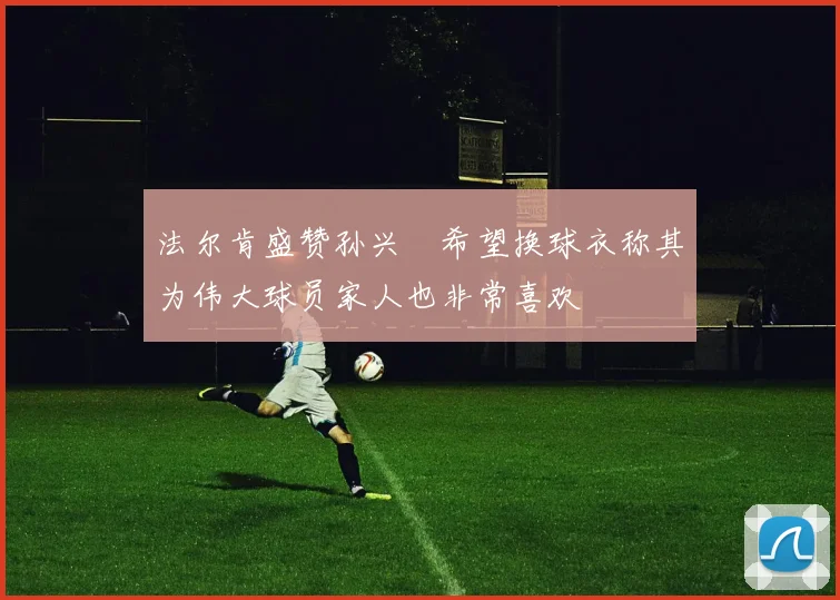 法尔肯盛赞孙兴慜希望换球衣称其为伟大球员家人也非常喜欢